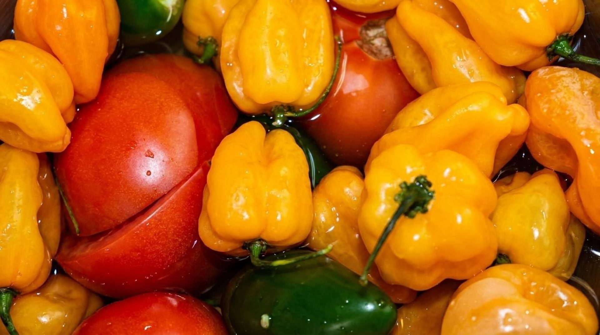 Don Goyo's Mexican Food Rewards